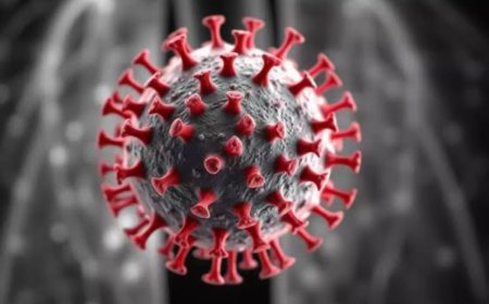 दिल्ली विधानसभा चुनाव पर चीन के वायरस का खतरा, स्वास्थ्य मंत्रालय से चर्चा करेगा चुनाव आयोग।