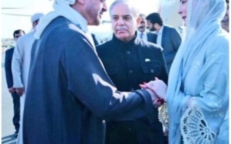 तौबा तौबा: शरीफ की बेटी मरियम ने UAE प्रेसिडेंट के हाथ के ऊपर रखा हाथ तो पाकिस्तानी हुए नाराज 