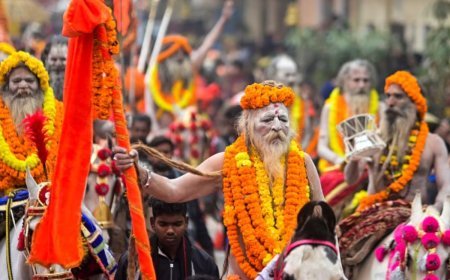 जिनका इंटरव्यू कलेक्टर से भी कठिन होता है, महाकुंभ में आए उन तंगतोड़ा साधुओं को जानिए