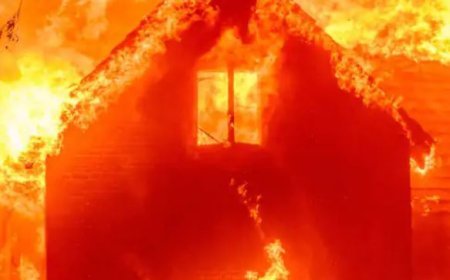 अमेरिका में लगी महा भयानक आग, हॉलीवुड जलकर होगा राख!  