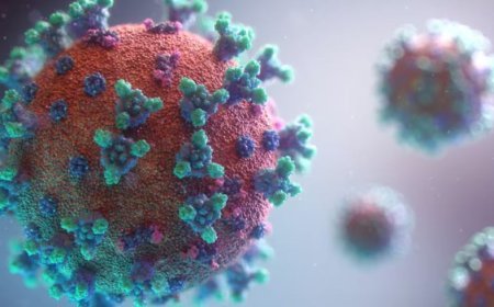 HMPV पर पहली बार बोला चीन