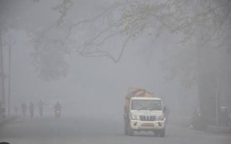 उत्तर प्रदेश के 55 जिलों में घना कोहरा छाया, 21 जनवरी को 17 जिलों में तेज बारिश के साथ ओले का गिरने का अलर्ट जारी हुआ