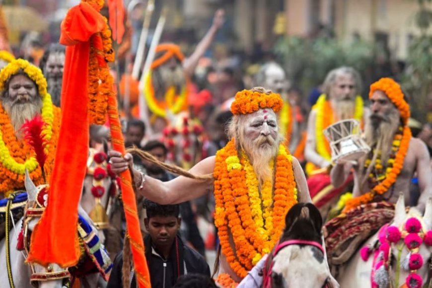 जिनका इंटरव्यू कलेक्टर से भी कठिन होता है, महाकुंभ में आए उन तंगतोड़ा साधुओं को जानिए