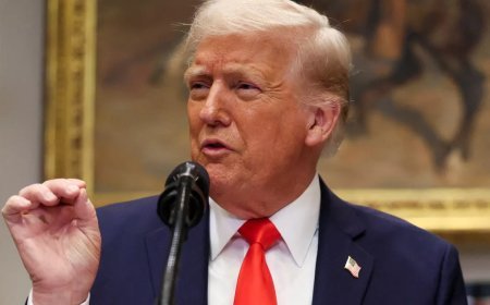 America Immigration Policy: अवैध प्रवासियों को अमेरिका से निकालने वाले प्लान में ट्रम्प प्रसाशन ने किया बदलाव