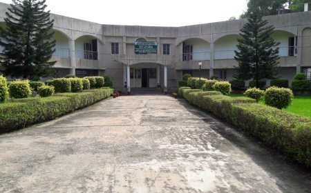 Begusarai Regional Maize Research Centre: केंद्र सरकार ने बिहार को दिया बड़ा झटका,  मक्का अनुसंधान  केंद्र को बिहार से कर्नाटक किया गया "शिफ्ट"