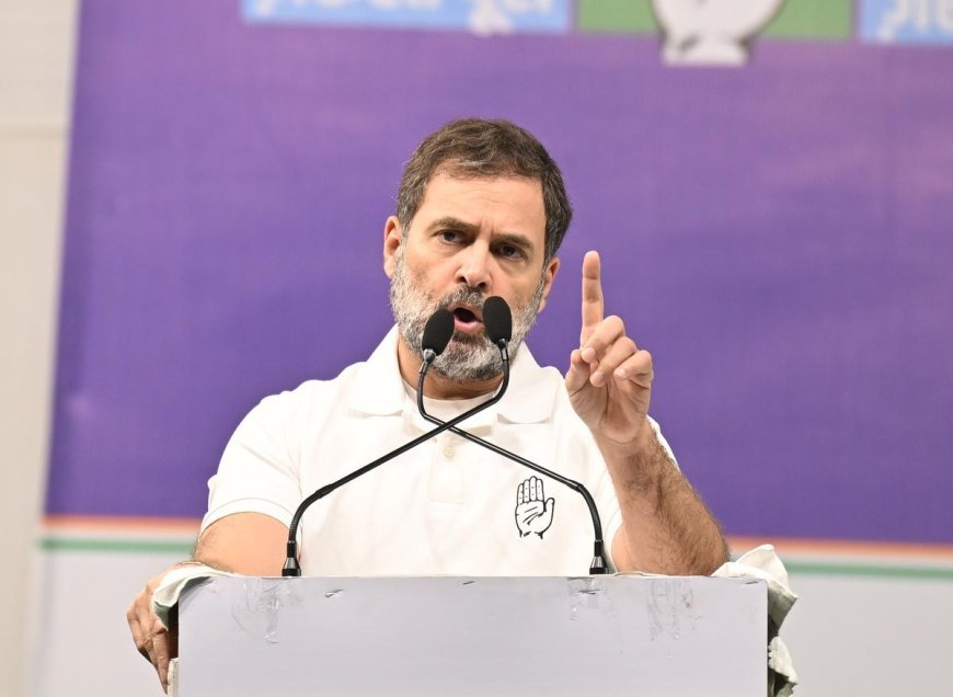 Rahul Gandhi: राहुल गाँधी अपने ही पार्टी के नेताओं पर बरसे, कहा भाजपा के लिए काम करते हैं