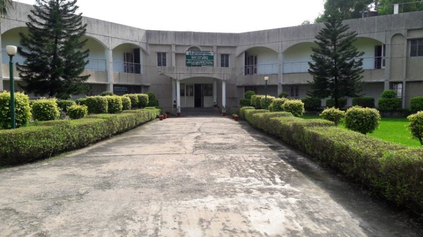 Begusarai Regional Maize Research Centre: केंद्र सरकार ने बिहार को दिया बड़ा झटका, मक्का अनुसंधान केंद्र को बिहार से कर्नाटक किया गया "शिफ्ट"