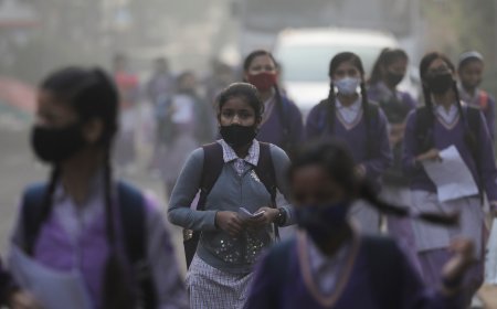 दिल्ली में बढ़ते प्रदूषण पर बड़ा फैसला,  पांचवीं तक के बच्चों की क्लास अब हाइब्रिड मोड में