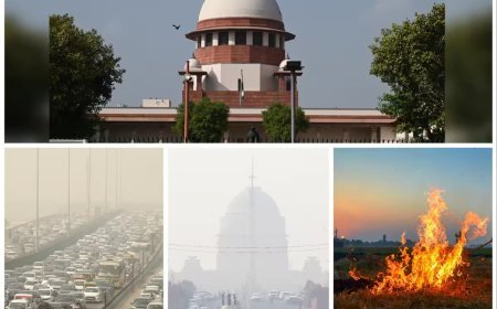 दिल्ली-NCR प्रदूषण पर सुप्रीम कोर्ट सख्त, पंजाब-हरियाणा से मांगी रिपोर्ट