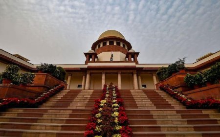 सुप्रीम कोर्ट का बड़ा फैसला! वाइल्डलाइफ सैंक्चुअरी के 1 किलोमीटर के दायरे में  माइनिंग पर बैन