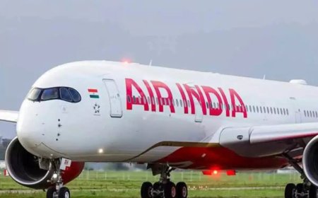DGCA ने एयर इंडिया के प्लेन को उड़ान पर बैन लगाया, दोषी स्टाफ को हटाया गया