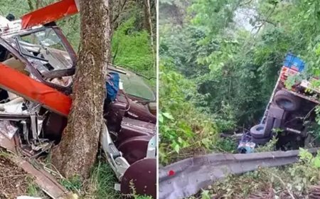 असम से मजदूरी करने आए 22 मजदूरों की अरुणाचल प्रदेश में हुई मौत