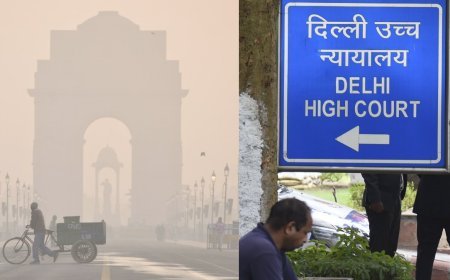 Delhi Pollution: एयर प्यूरीफायर लग्ज़री नहीं, ज़रूरत हैं: 18% GST पर दिल्ली हाई कोर्ट का सवाल